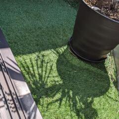 人工芝　1x2.5m　カットありの画像