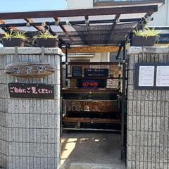 めだか販売