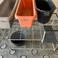 メダカ棚の画像