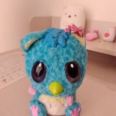 プレゼントペットの画像
