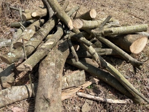 樫！！薪　伐採　薪ストーブ　軽トラ1杯分