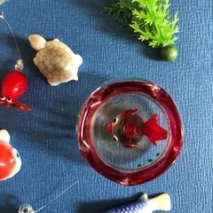 ミニ水族館　ガラス細工　金魚　コレクション　オブジェ　箱庭　の画像