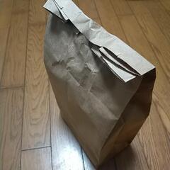 🌜 夜専用コオロギ🌃𓆈𓆉𓆊𓆌𓆏𓆐𓆑𓆓𓆗𓆙𓆚の画像