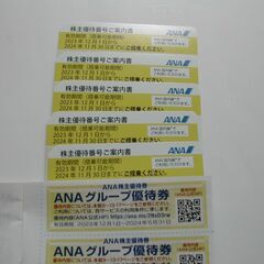ANA株主優待　正規運賃が半額で購入できるチケット