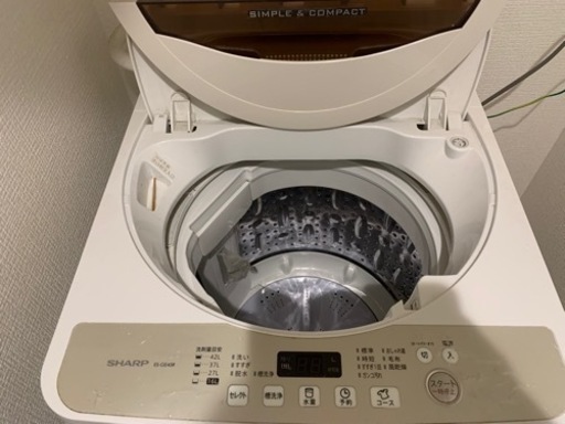 家電 生活家電 洗濯機