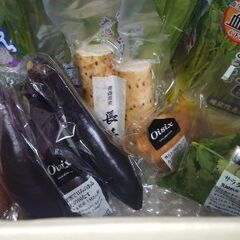 オイシックス プレミアムギフト 野菜・卵 8品詰め合わせ