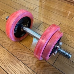 ダンベル　IROTECの画像