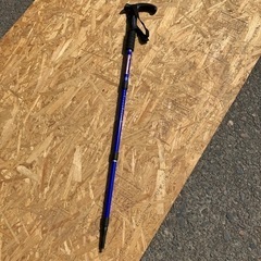 受け渡し先決定　　トレッキングポール？　ステッキ　不明！