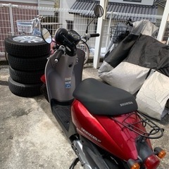 原付き　ホンダの画像