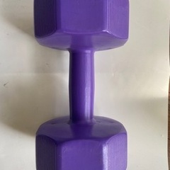 ダンベル4kg スポーツ フィットネス、トレーニング