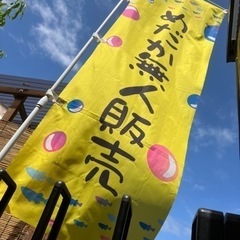 めだか無人販売　アガベ無人販売　明石市二見町　