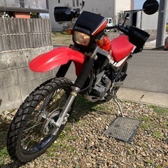 値下げシーズン到来スーパーシェルパ