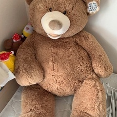 【お値下げ】コストコで大人気のクマのぬいぐるみの画像
