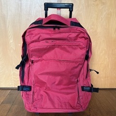 【新品未使用】ソフトキャリーケース　お買物バック　赤