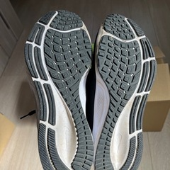 エアズームペガサス38 26.0cm CW-7356-002    の画像