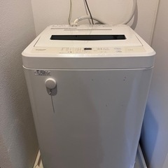 家電 生活家電 洗濯機