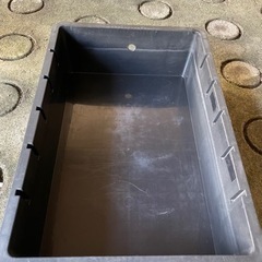 メダカ容器