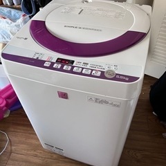 家電 生活家電 洗濯機