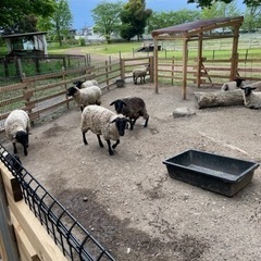 ✨8/2(土）氷見祭りバイト募集‼️の画像