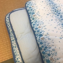 新品　肌さわりのよい夏用かけ布団2枚の画像