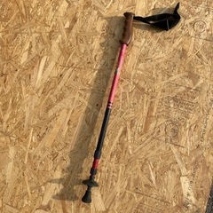 受け渡し先決定！　トレッキング　ポール　ステッキ　登山　トレッキ...