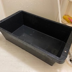 取引中　ビオトープ　25L トロ舟