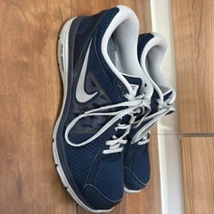 NIKEスニーカー28cmの画像