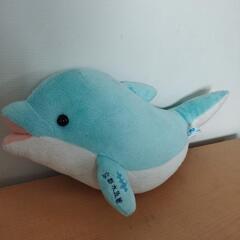 京都水族館イルカぬいぐるみ