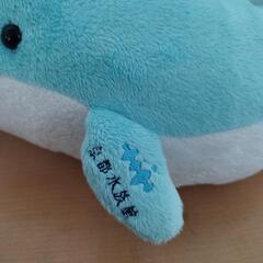 京都水族館イルカぬいぐるみの画像