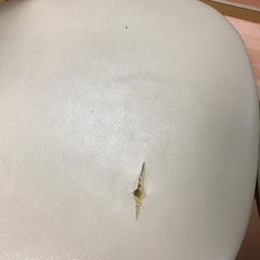 ※お取引予定※ ダイニングチェア　回転式　4脚セットの画像