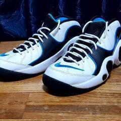 AIR ZOOM FLIGHT 95