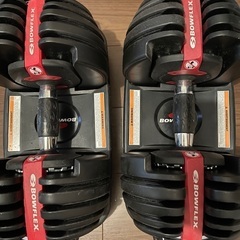 ボウフレックス　可変式ダンベル 24kg 2個
