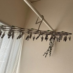 洗濯用品 伸縮自在 ピンチハンガーの画像