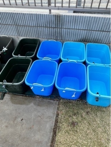 32L タライ　8個まとめて　メダカ用