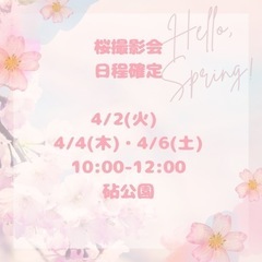 桜撮影会のお知らせ　砧公園　4/2.4.6