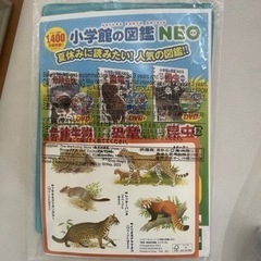 1200ccウォーターガンの画像