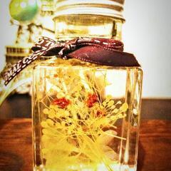 Herbarium~ 3set：インテリア雑貨/小物の画像
