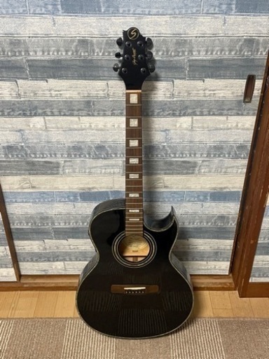 楽器 弦楽器、ギター