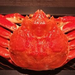 ✨03 夕日ケ浦温泉、国内旅(泊まり)、友達募集✨40代、50代...