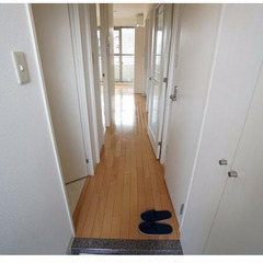 初期費用を抑えます❗️広々リビングで住みやすい😳💗南向きで人気です❣     - 賃貸（マンション/一戸建て）