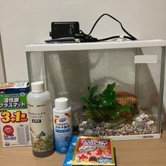 【取引中】水槽セット