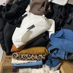 引越しのため、貰ってくださる方いませんか？？