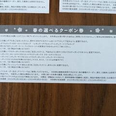 31アイスクリーム　春の選べるクーポン券　5枚セットの画像