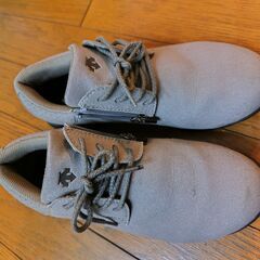 デサント DESCENTE 3B400E30 JOYTOP walk ウォーキングシューズ 靴 ジョイトップ 23ｃｍの画像
