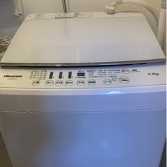家電 生活家電 洗濯機