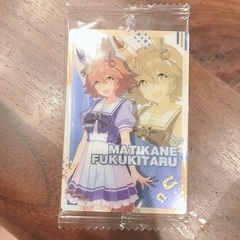 ウマ娘　マチカネフクキタル