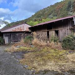三重県熊野市の山林中心の区域。熊野川沿い。キャンプ場に最適。