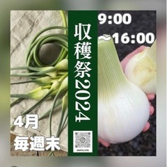 4月　玉ねぎ収穫祭のお知らせ