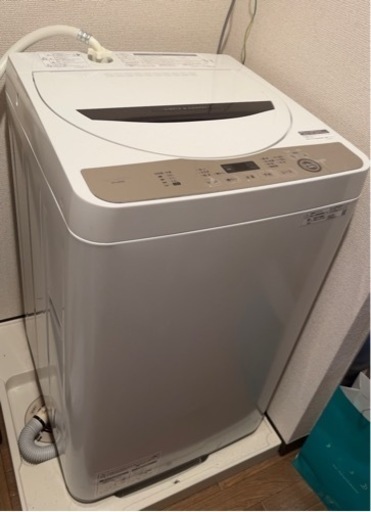 家電 生活家電 洗濯機