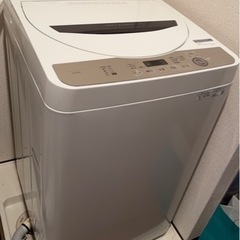 家電 生活家電 洗濯機